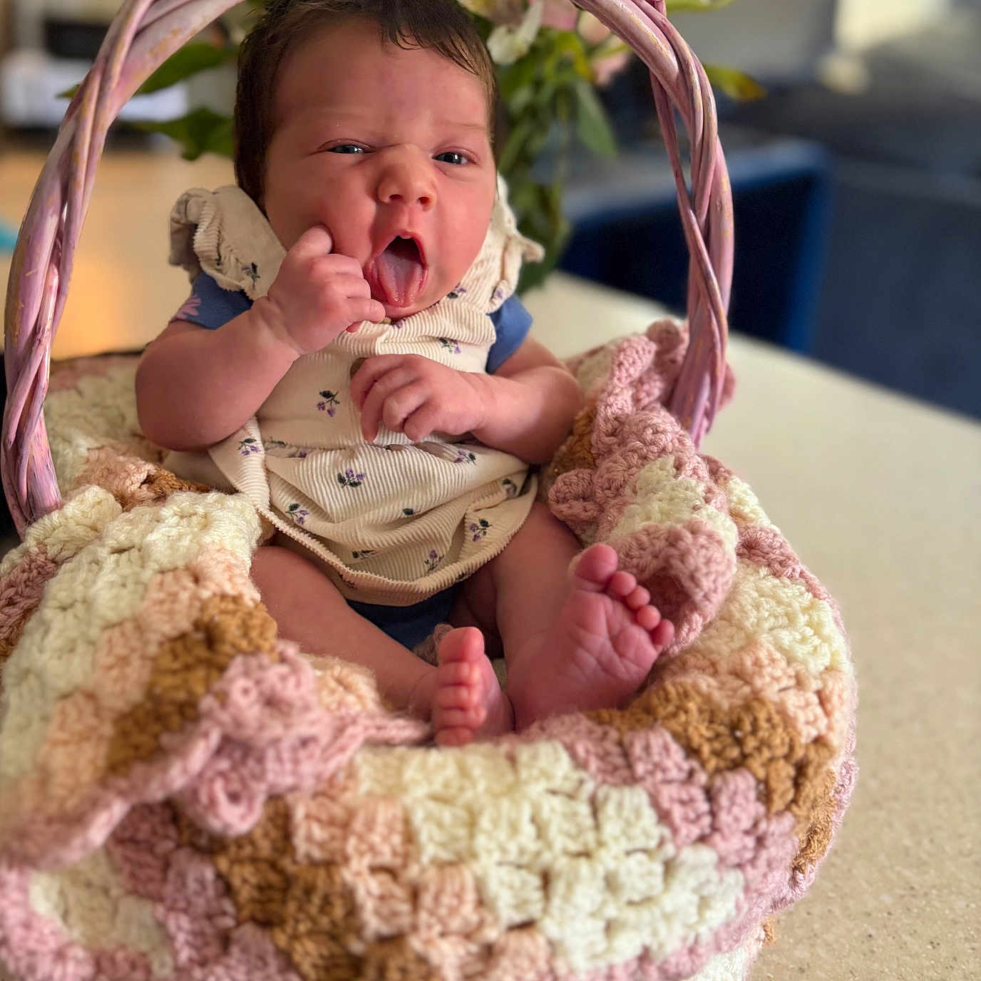 Mialynn joined the competition — help win amazing prizes! baby, infant, basket, crochet_blanket, pink, tongue_out, cute, indoors, face, expression, hands, feet, clothing, table, flower_vase, background_blur, home, newborn, person, portrait