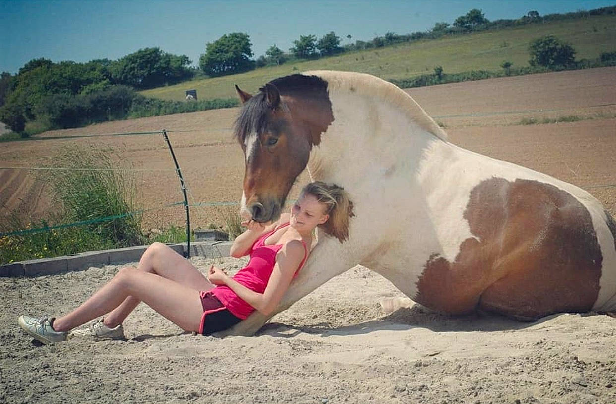 Tonnerre a rejoint le concours — aidez-le/la à gagner de superbes lots ! beauty, cloud, cool, dress, happy, horse, horse_supplies, landscape, livestock, love, mane, mare, morning, mustang_horse, nose, photography, sky, stallion, summer, sunlight