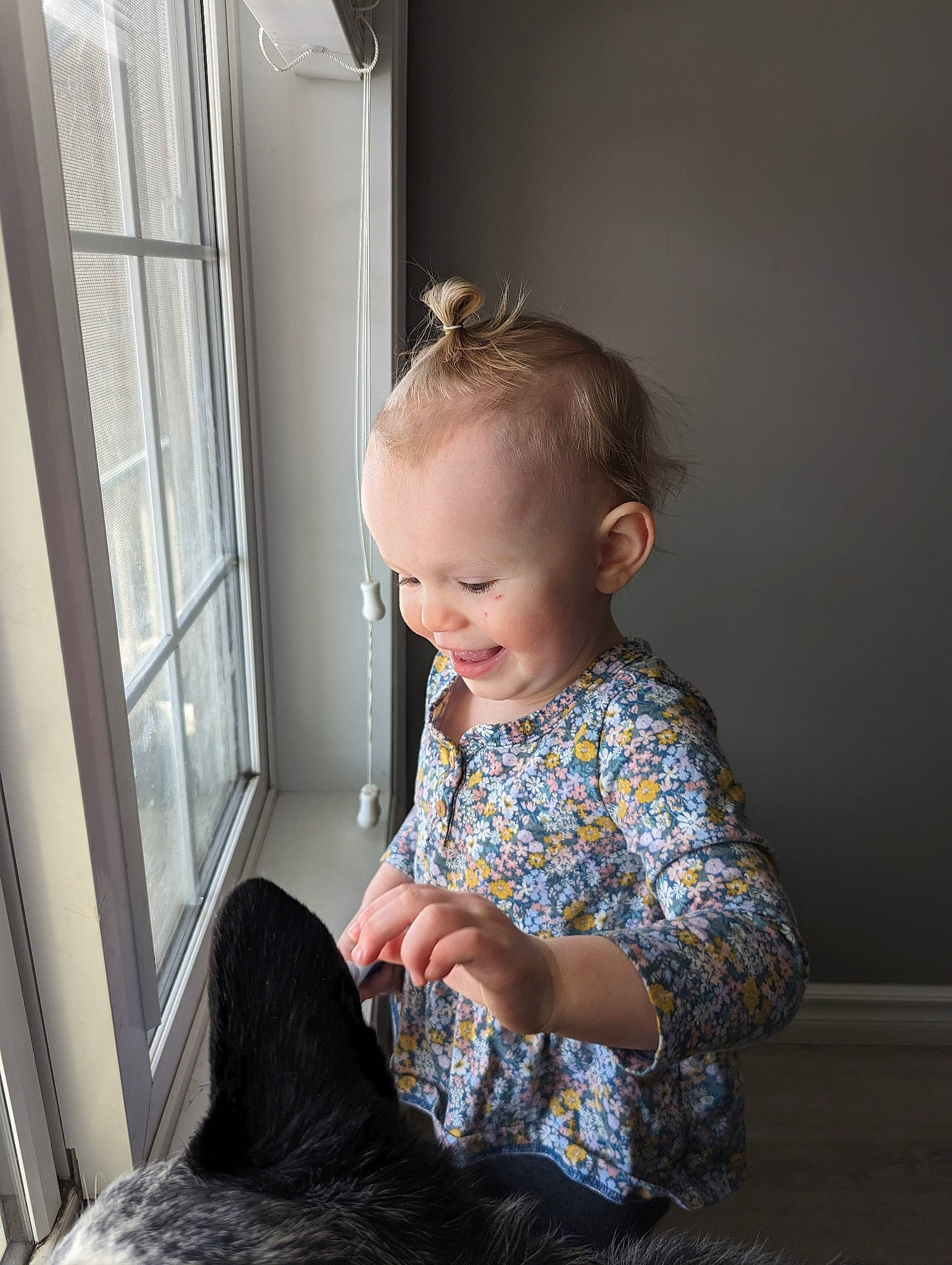 Willa is registered to the contest to win money with this photo: baby, baby_toddler_clothing, blond, carnivore, child, comfort, companion_dog, dress, felidae, flooring, person, room, sitting, sleeve, small_to_medium_sized_cats, smile, standing, toddler, whiskers, window