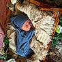 newborn, baby, sleeping, blue_outfit, hat, blanket, wooden_cradle, flowers, roses, soft_texture, cozy, peaceful, infant, portrait, indoors, decorative, resting, cute, child, wrapped