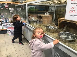 Chiara a rejoint le concours — aidez-le/la à gagner de superbes lots ! automotive_exterior, automotive_tire, blurred, building, cooking, cookware_and_bakeware, customer, event, fun, fur, landscape, livestock, market, motor_vehicle, person, retail, shelf, soil, t_shirt, toddler