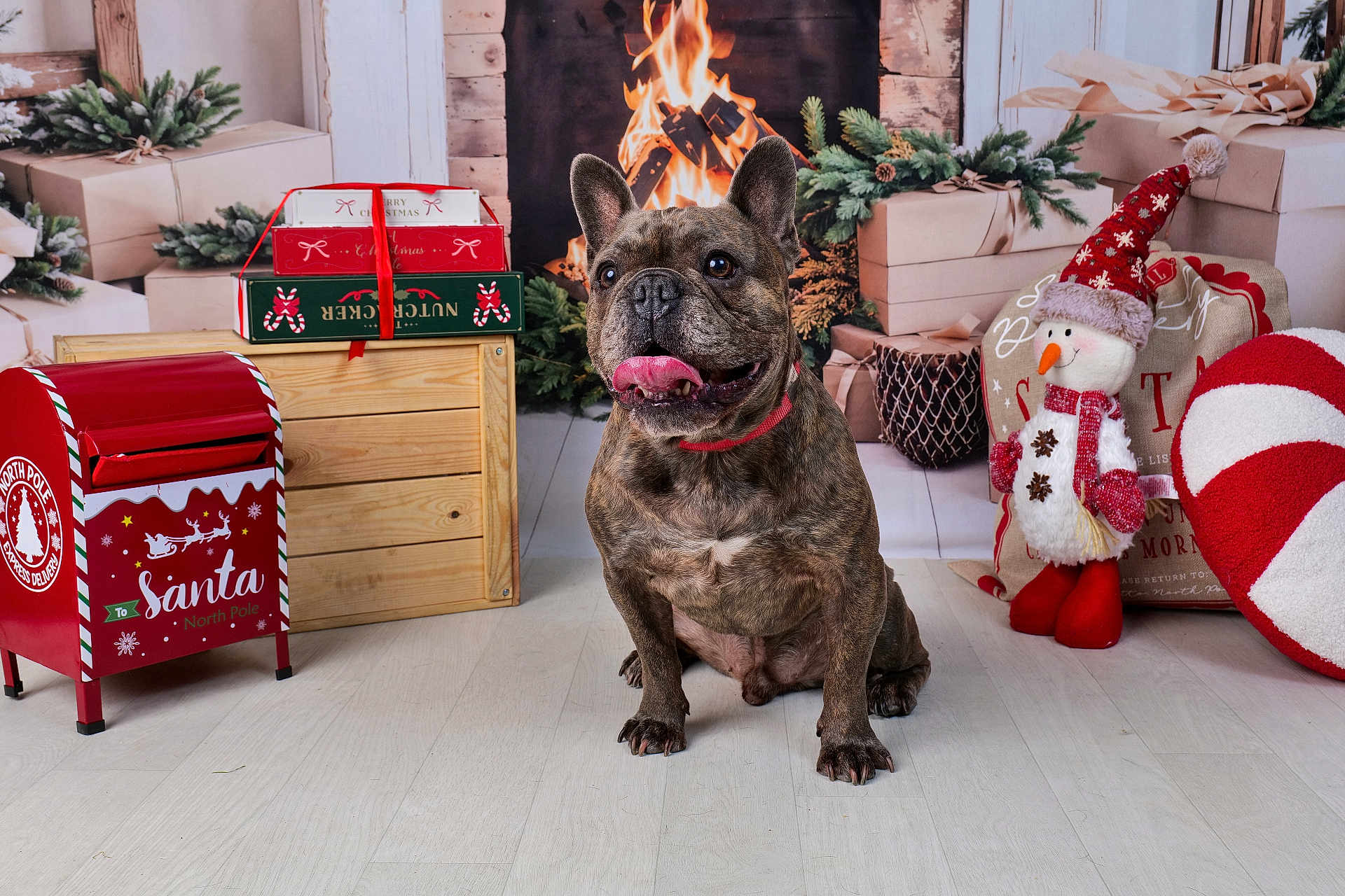 Rackham a rejoint le concours — aidez-le/la à gagner de superbes lots ! background, brindle, christmas, cozy, decorations, dog, festive, fireplace, floor, french_bulldog, gifts, holiday, indoor, red_mailbox, sitting, smiling, snowman, tongue_out, wooden_crate, wrapped_presents