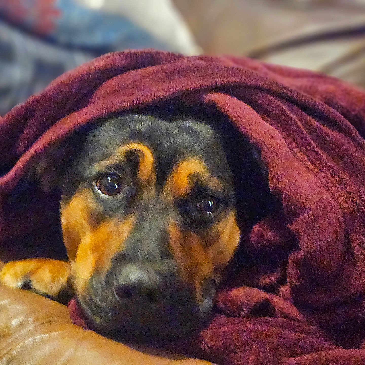 Precious