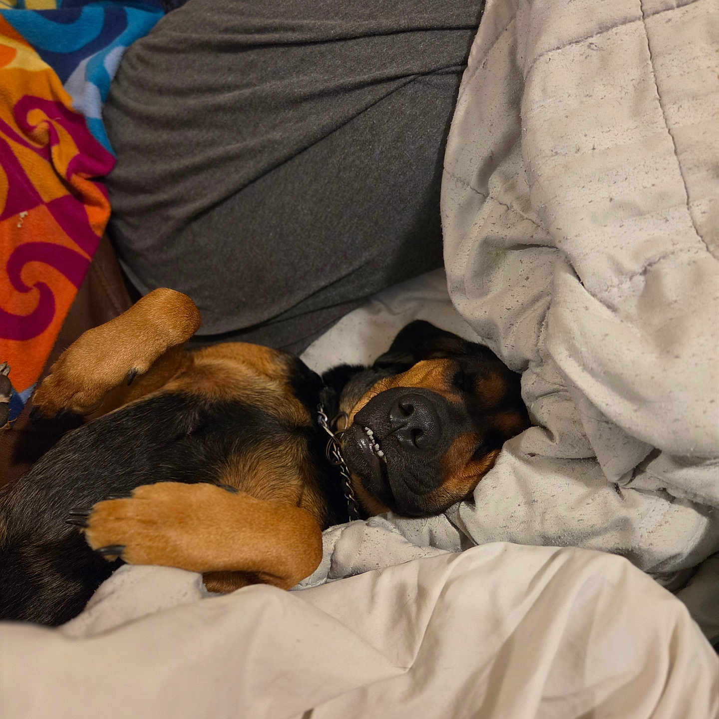 Precious