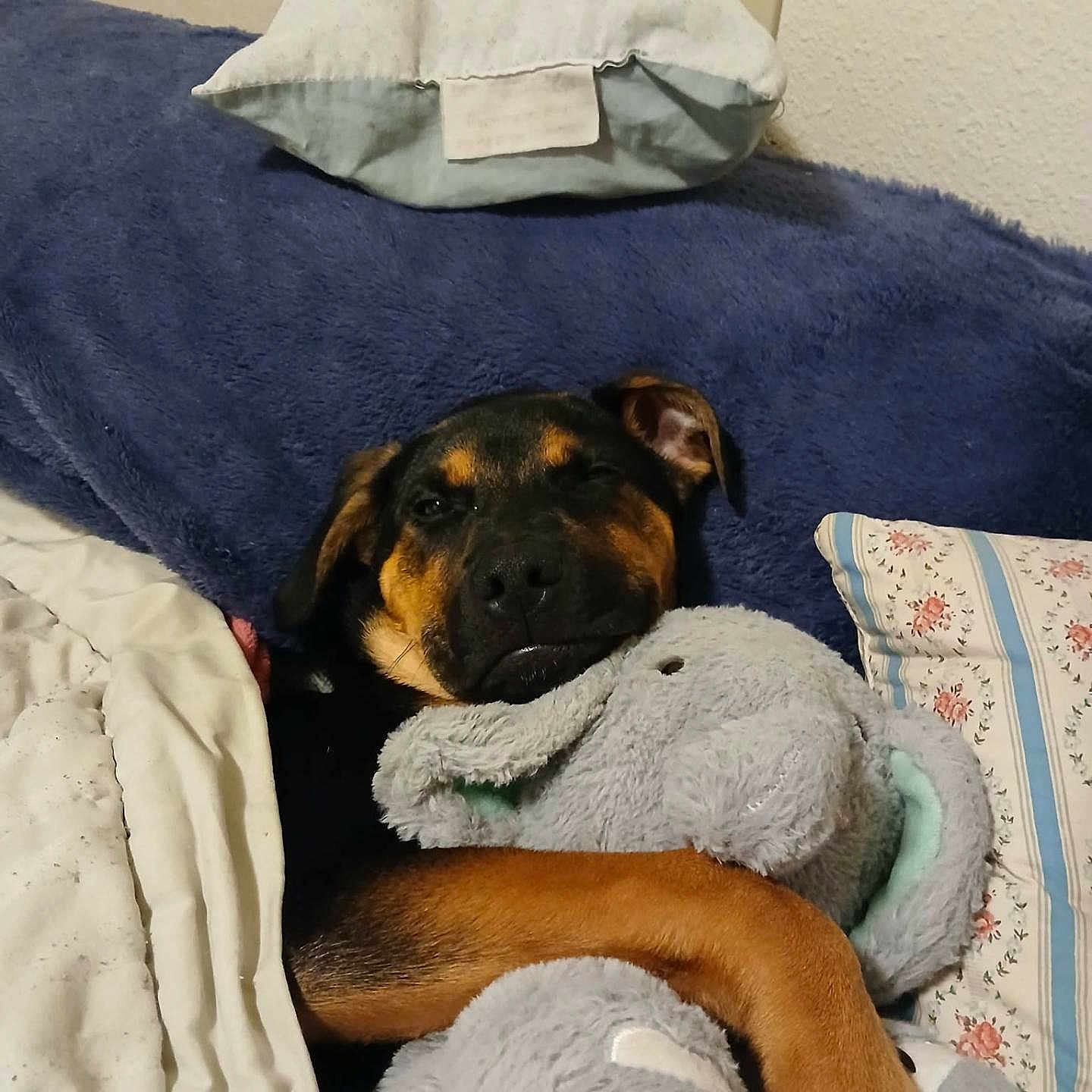 Precious