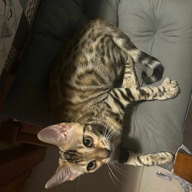 Akyra