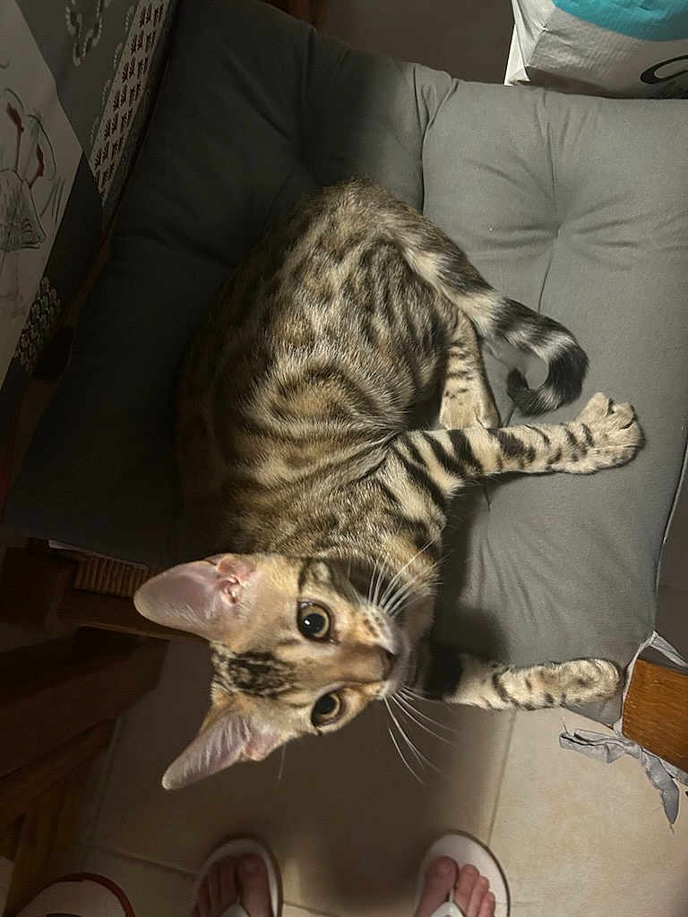 Akyra