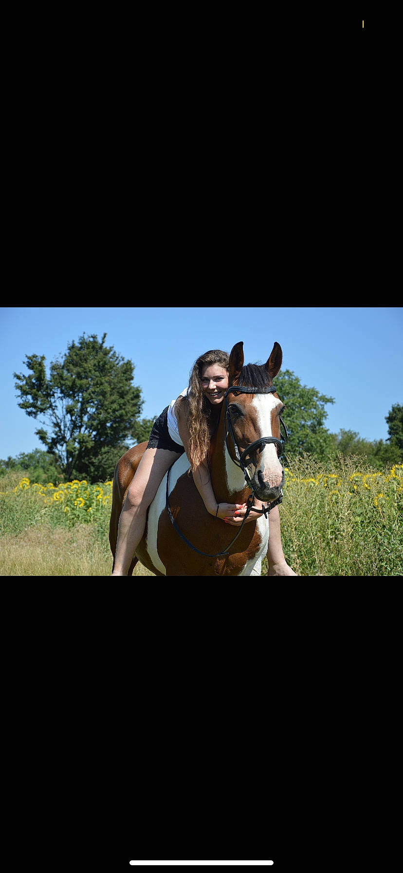 Taïga a rejoint le concours — aidez-le/la à gagner de superbes lots ! bridle, halter, horse, horse_supplies, horse_tack, mammal, mane, mare, mustang_horse, organism, pack_animal, pasture, photography, rein, sky, snout, sorrel, stallion, stock_photography, vertebrate