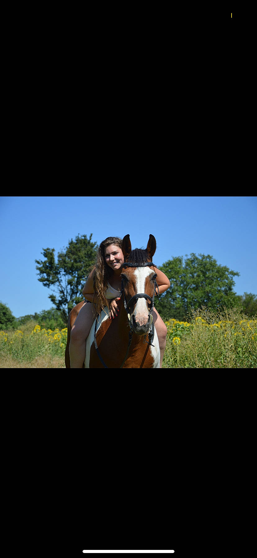 Taïga a rejoint le concours — aidez-le/la à gagner de superbes lots ! bridle, brown, ear, fawn, grass, halter, horse, horse_tack, mane, mare, mustang_horse, pack_animal, pasture, personal_protective_equipment, photography, rein, sky, stallion, stock_photography, wildlife