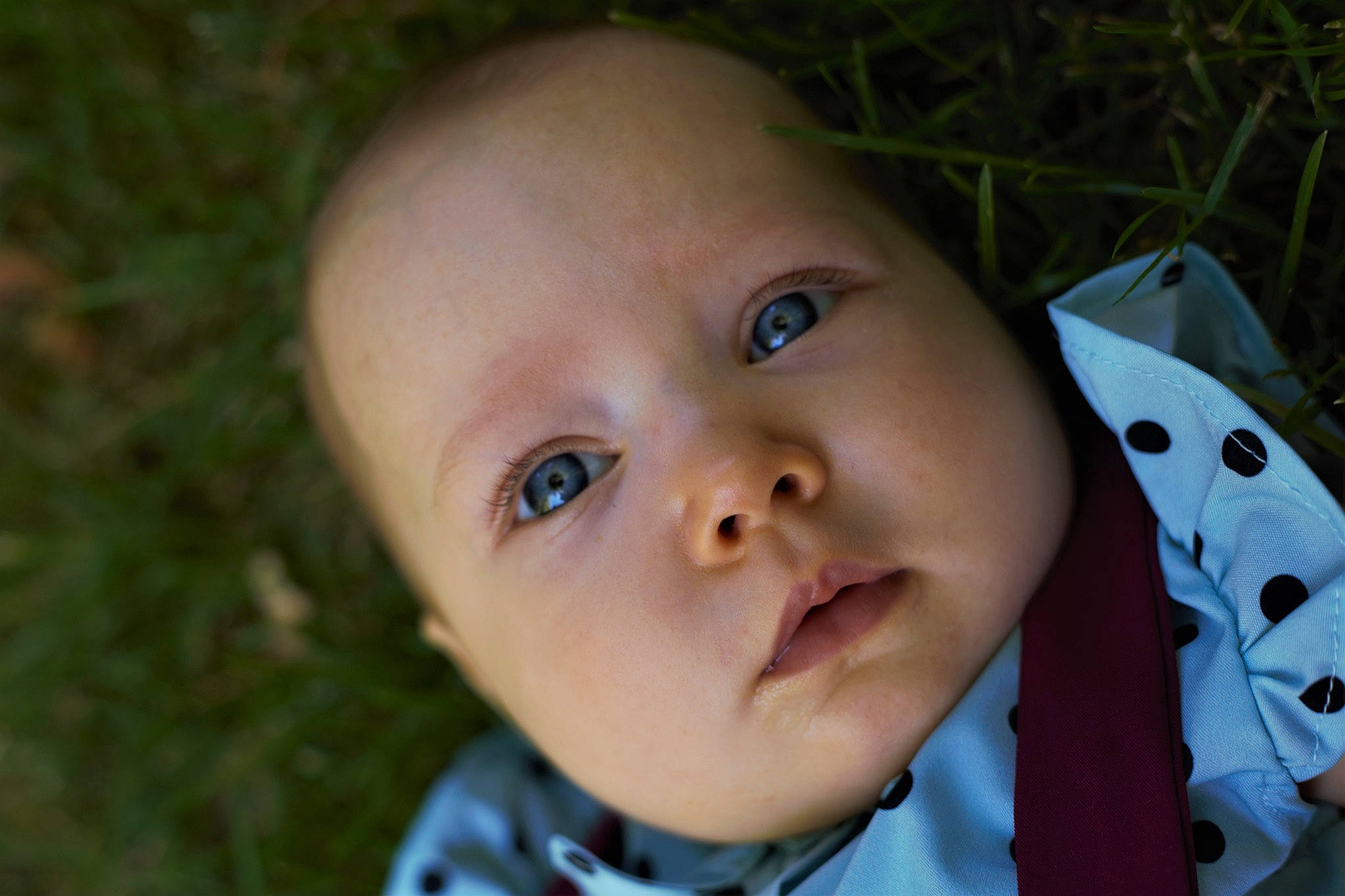 Mya participe au concours pour gagner de l'argent avec cette photo : baby, baby_products, baby_toddler_clothing, cheek, child, eyebrow, eyelash, fun, grass, happy, iris, lip, nose, pattern, person, plant, skin, smile, toddler, tree