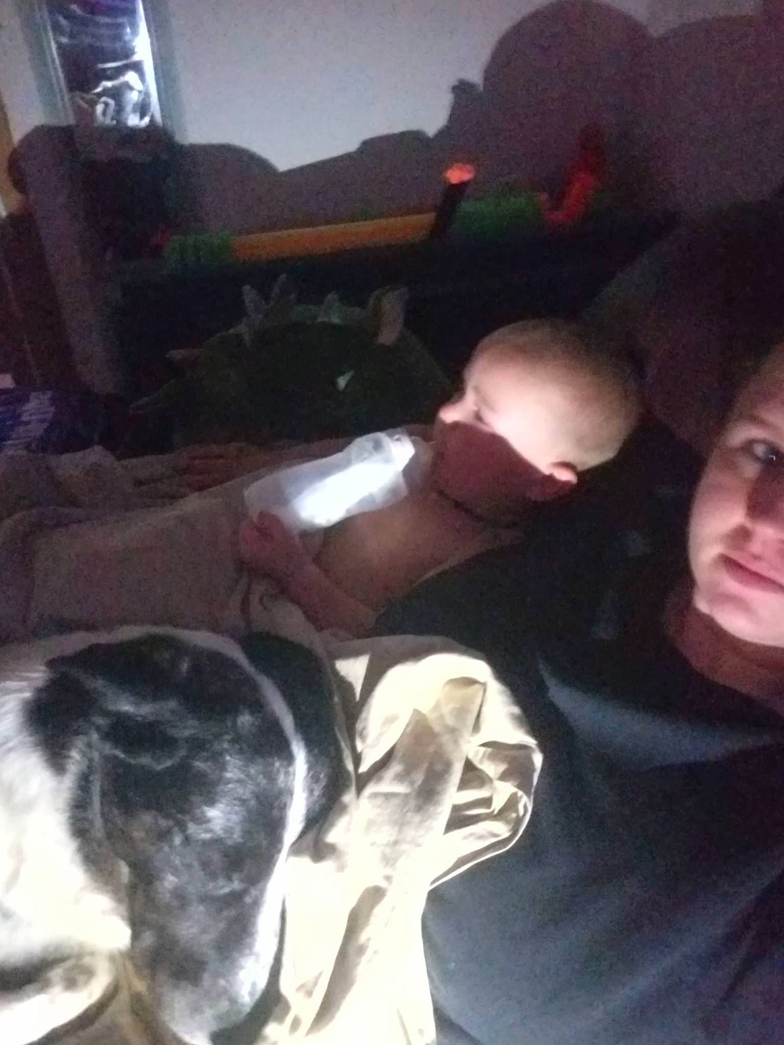 Shy Shy is registered to the contest to win money with this photo: comfort, dog_breed, human, interaction, living_room, selfie, working_dog