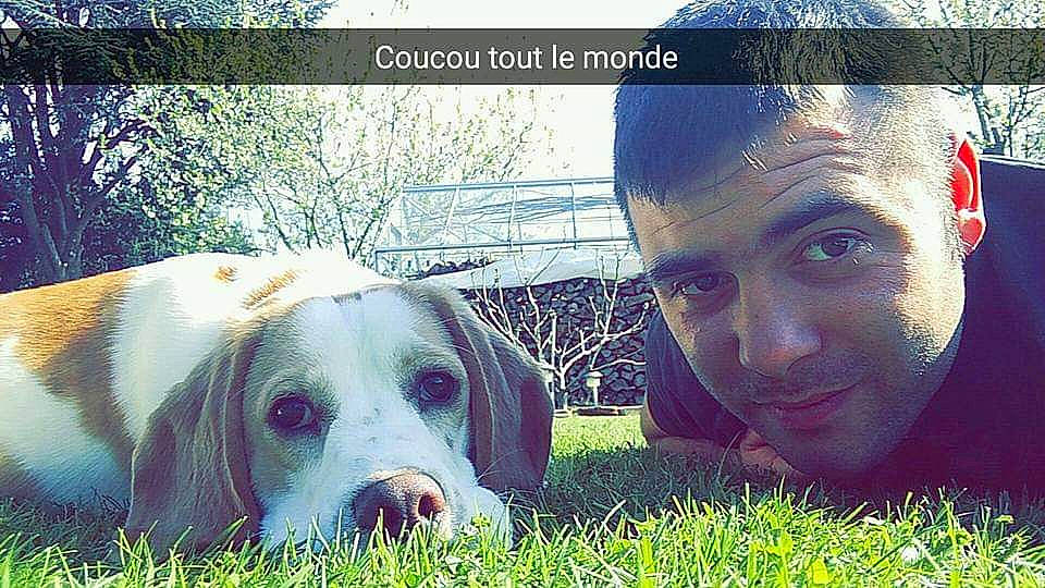 Bruce participe au concours pour gagner de l'argent avec cette photo : canidae, carnivore, companion_dog, dog, dog_breed, grass, happy, love, nose, photo_caption, photography, pointer, puppy_love, selfie, snout, sporting_group