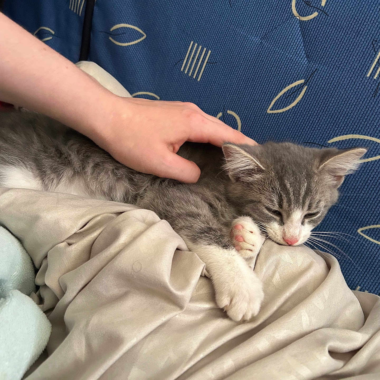 Tigrou