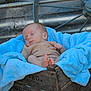 baby, sleeping, blue_blanket, wooden_crate, rustic, metal_wheel, outdoor, infant, cozy, peaceful, soft_texture, portrait, newborn, cute, relaxed, child, natural_light, skin, foot, clothing