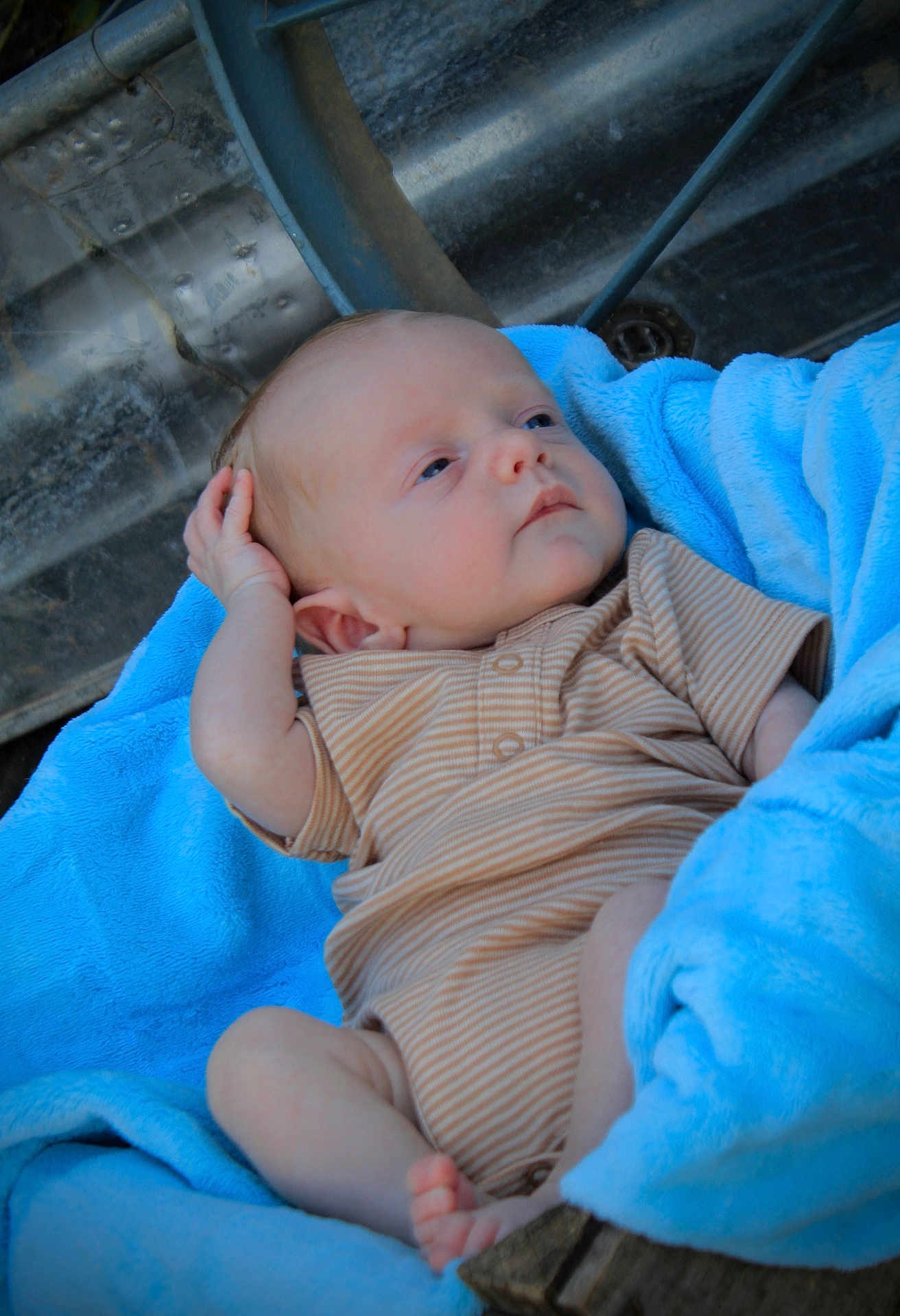 Waylon Hood joined the competition — help win amazing prizes! baby, infant, blue_blanket, striped_clothing, relaxing, outdoor, skin, face, head, hand, foot, newborn, portrait, resting, cute, soft_texture, casual, young_child, person, natural_light