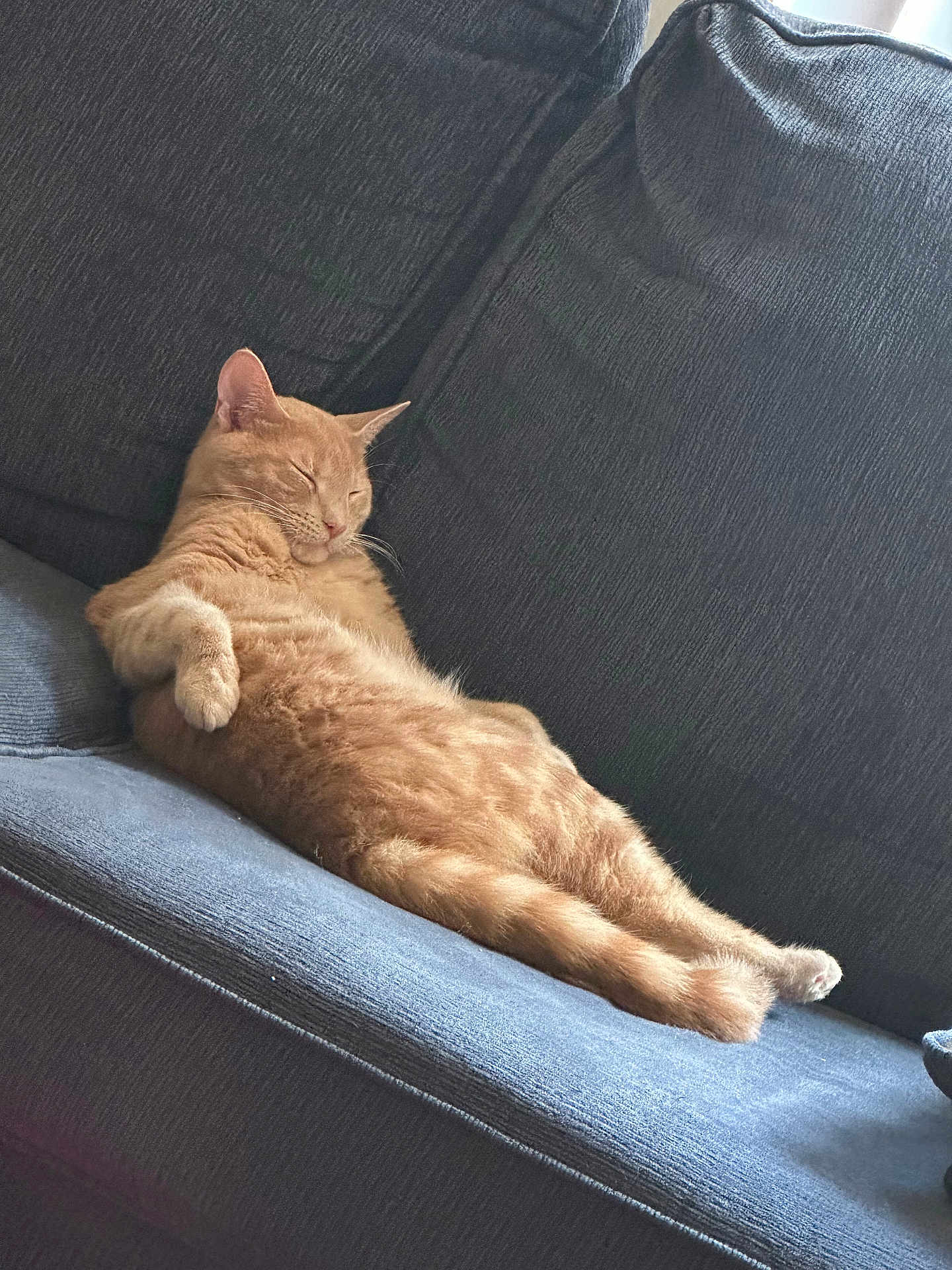 Tigger