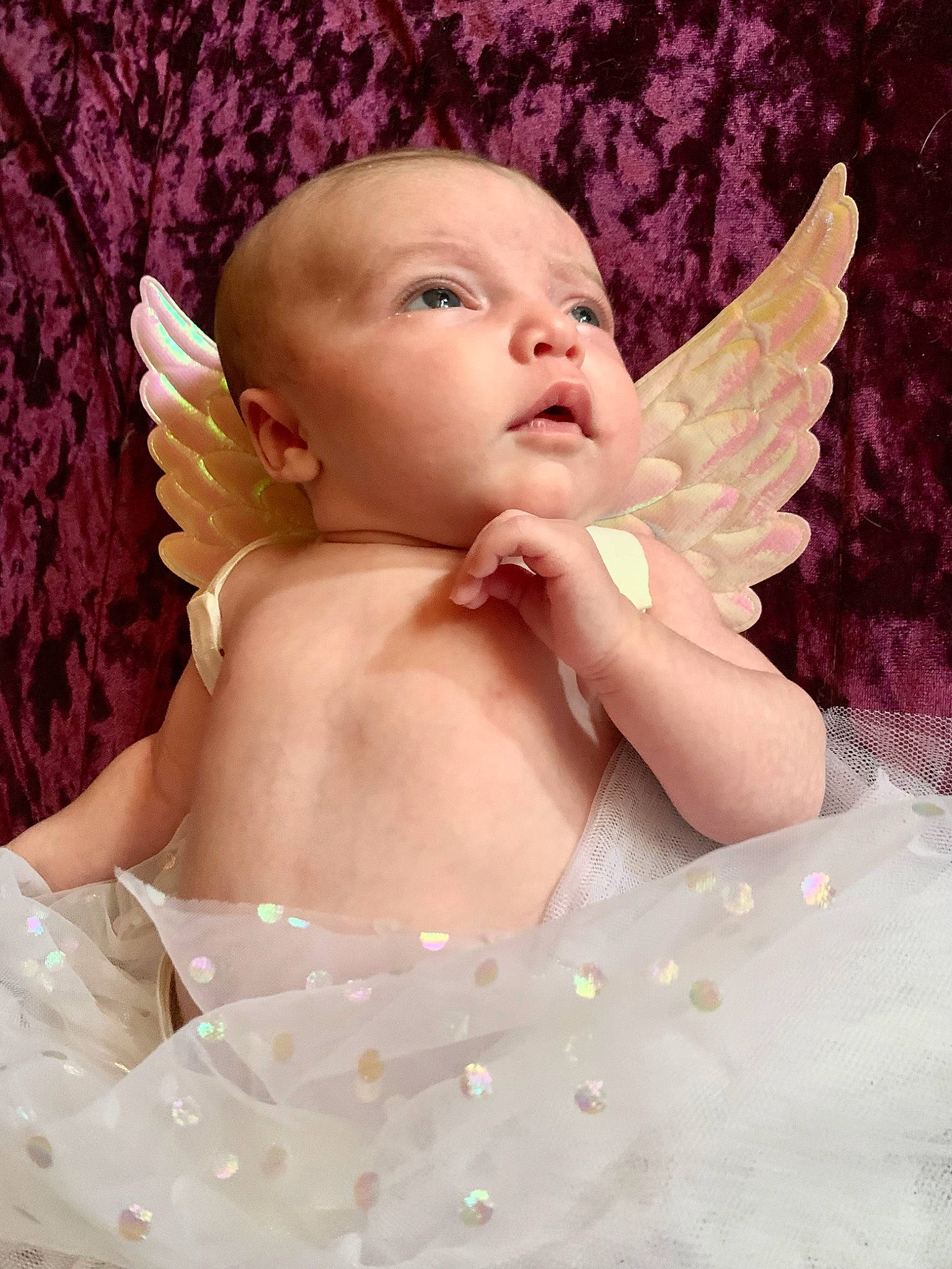 Evelynn is registered to the contest to win money with this photo: angel, baby, baby_toddler_clothing, beauty, bridal_accessory, chest, child, eyelash, finger, gesture, hairstyle, happy, headpiece, jewellery, mythical_creature, person, petal, pink, skin, textile