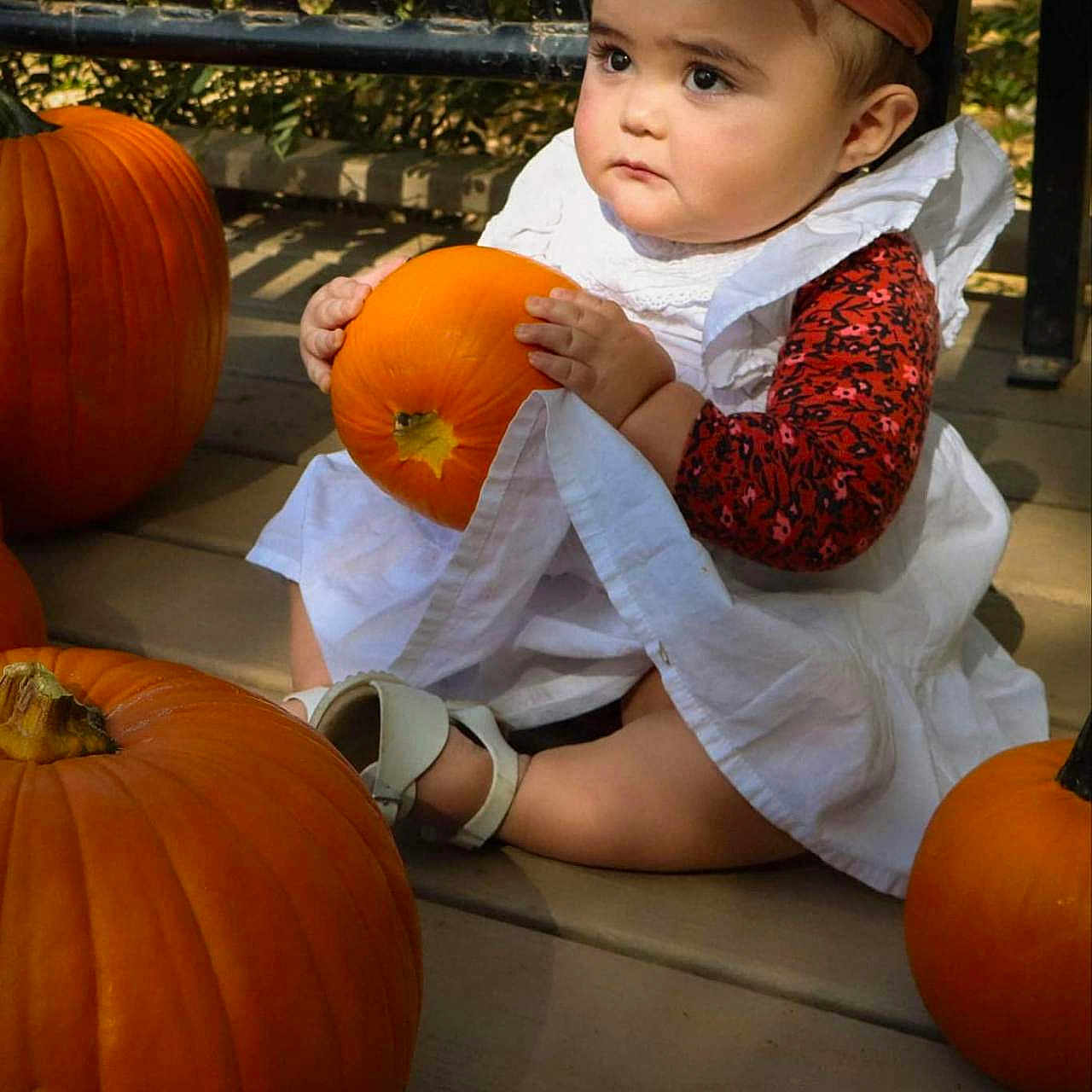 Lea-Rain is registered to the contest to win money with this photo: baby, clothing, costume, dress, face, food, furniture, grass, head, person, photography, plant, portrait, pottedplant, produce, pumpkin, sitting, squash, tape, vegetable