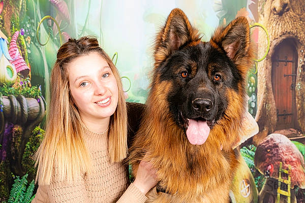 Speedy participe au concours pour gagner de l'argent avec cette photo : bohemian_shepherd, carnivore, companion_dog, dog, dog_breed, east_european_shepherd, event, fawn, fun, fur, german_shepherd_dog, giant_dog_breed, guard_dog, happy, herding_dog, king_shepherd, old_german_shepherd_dog, plant, smile, working_dog