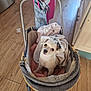 Aloha a rejoint le concours — aidez-le/la à gagner de superbes lots ! animal, blanket, clothing, comfort, cozy, cute, dog, flooring, hand, indoors, looking_up, person, pet, pink, puppy, small_dog, soft, stroller, vintage, wooden_floor