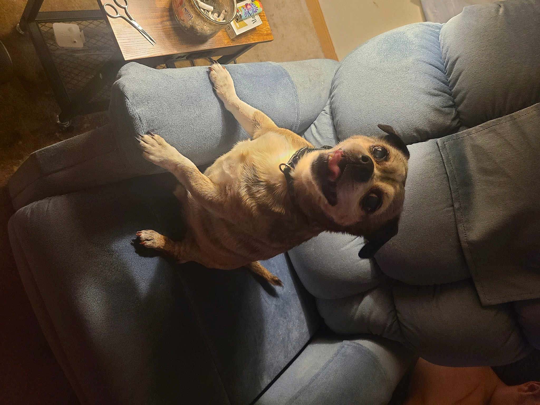 Rufus