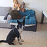 Vulcain a rejoint le concours — aidez-le/la à gagner de superbes lots ! dog, black_and_white, sitting, floor, couch, blanket, stuffed_animals, lion_plush, rabbit_plush, indoor, living_room, pet, furniture, home, quiet, calm, animal, domestic, clean, relaxed