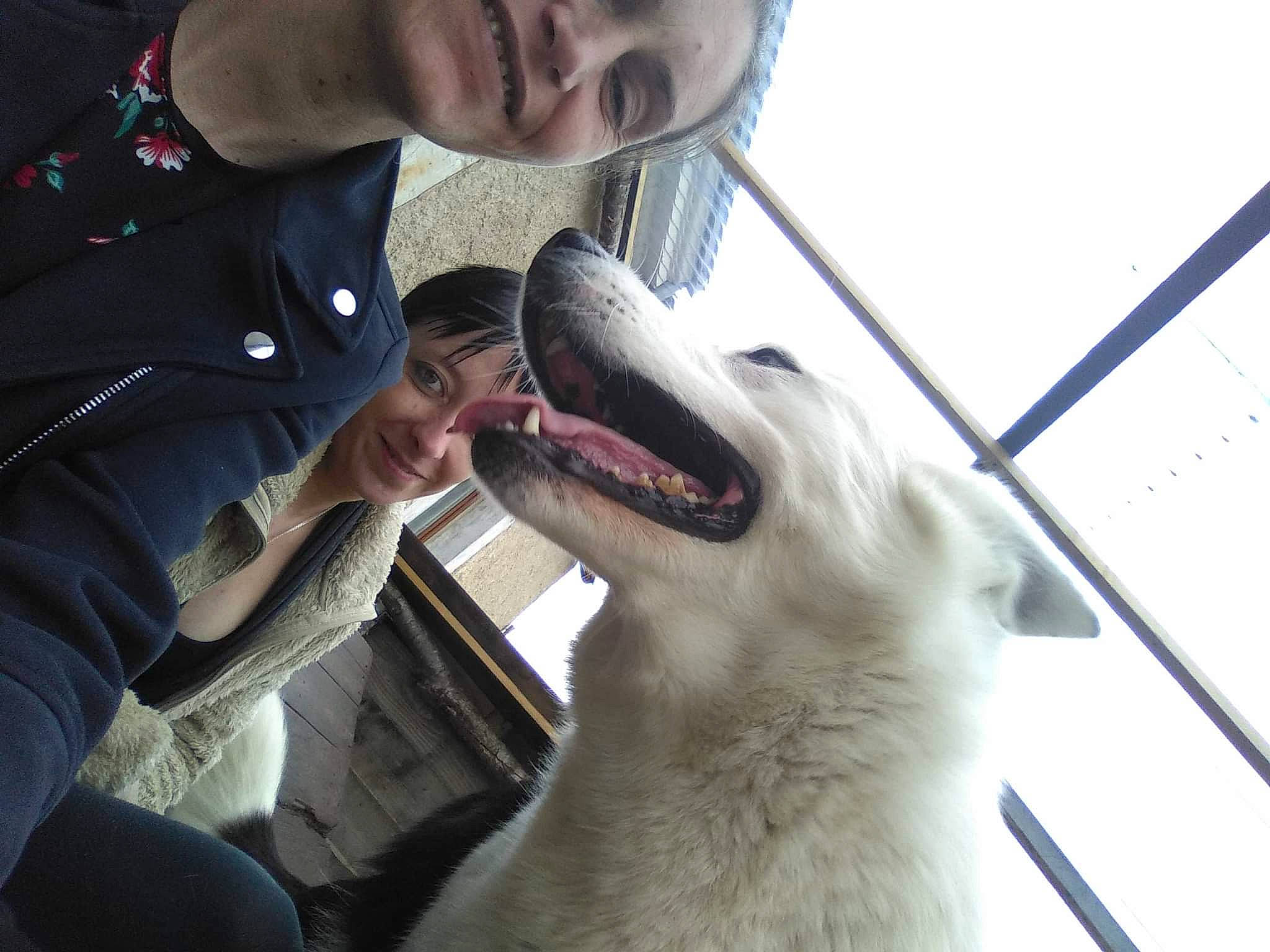 Happy a rejoint le concours — aidez-le/la à gagner de superbes lots ! animal_training, canidae, carnivore, companion_dog, dog, dog_breed, fang, fish, fun, fur, gesture, jaw, mouth, personal_protective_equipment, smile, sporting_group, terrestrial_animal, wildlife, wildlife_biologist, working_animal