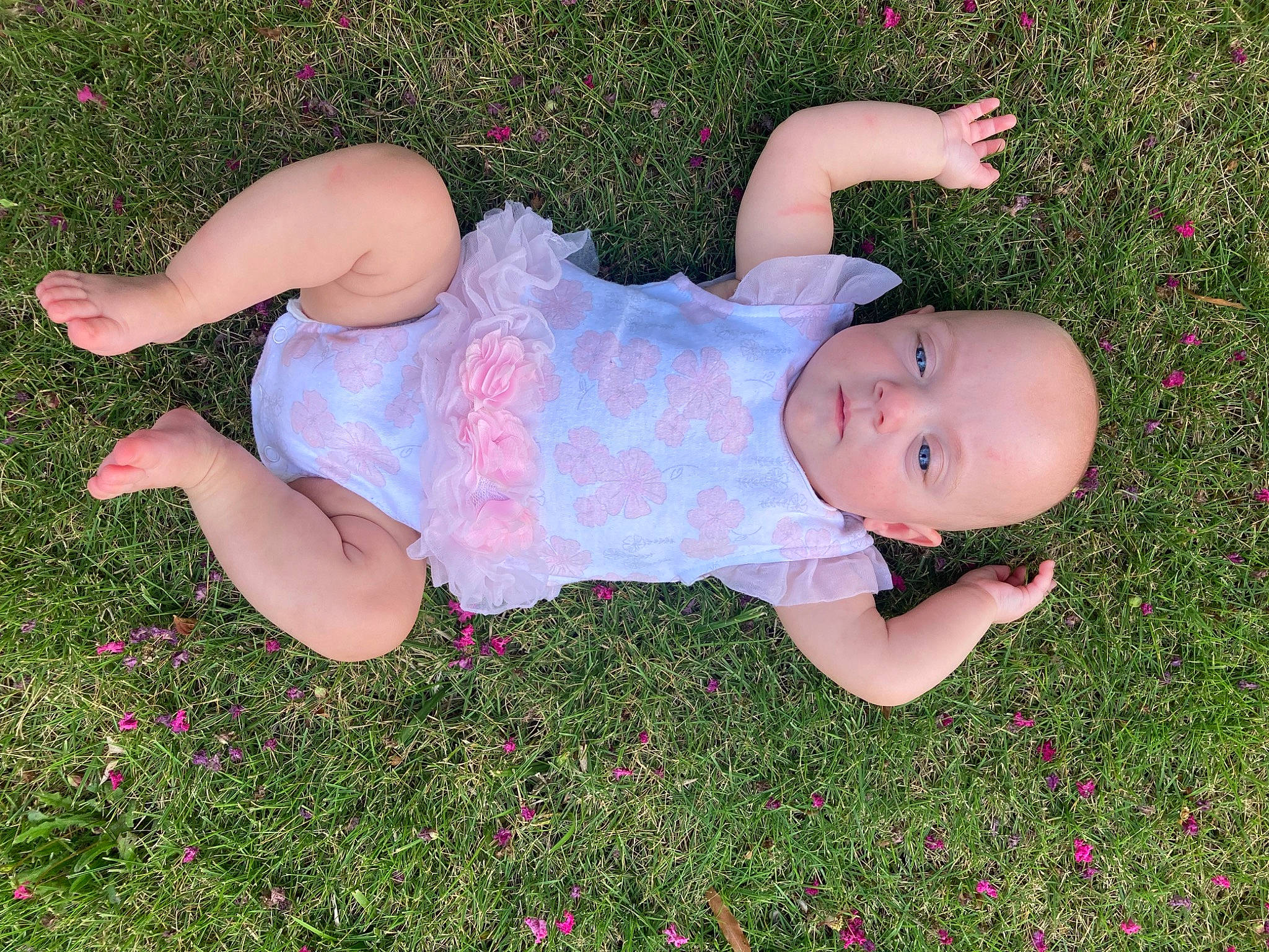 Atley is registered to the contest to win money with this photo: baby, baby_toddler_clothing, child, clothing, fun, garden, grass, grassland, happy, human_leg, lawn, leisure, magenta, meadow, people_in_nature, person, petal, pink, plant, thigh