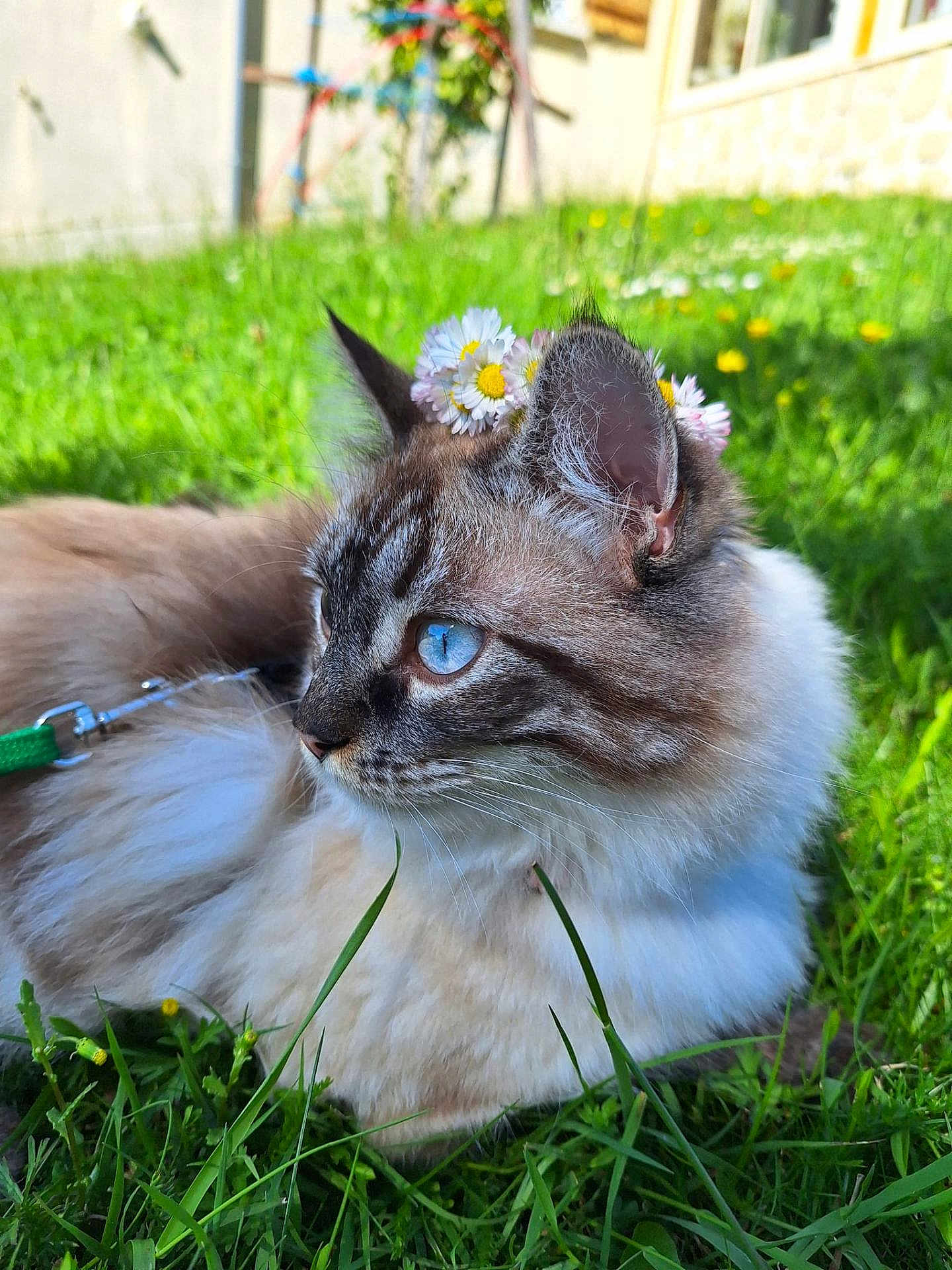 Yuki
