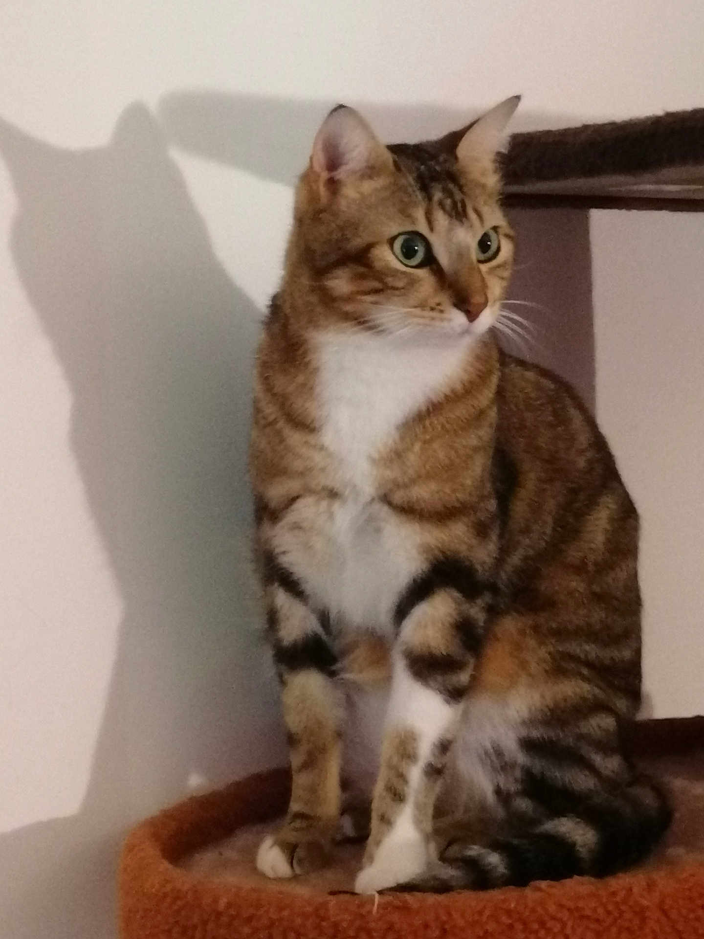 Rio