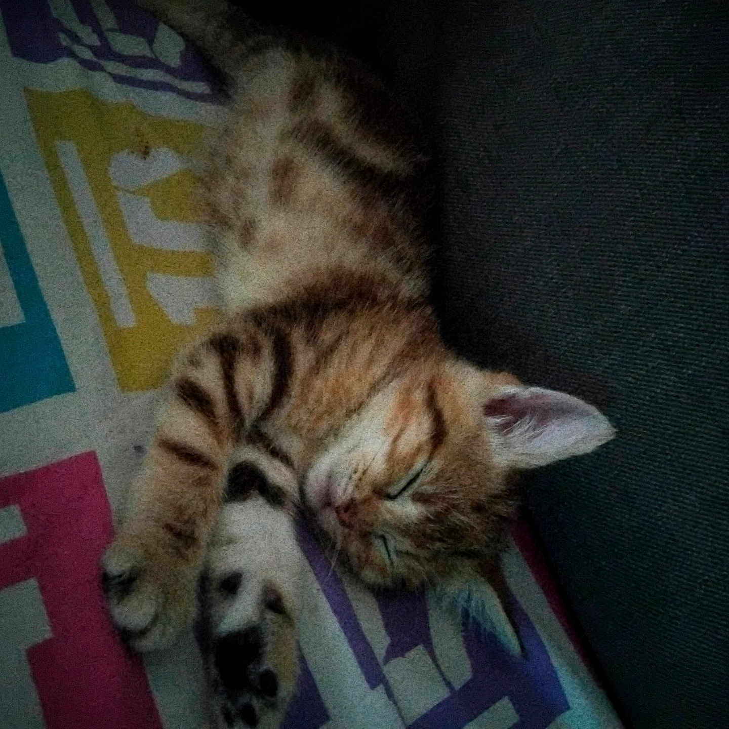 Nala