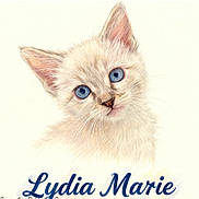 Lydia Marie joined the competition — help win amazing prizes! kitten, cat, blue_eyes, drawing, art, portrait, whiskers, fur, animal, cute, pet, closeup, face, illustration, sketch, soft_colors, fluffy, young, text, name
