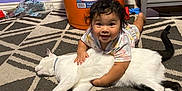 Zamara is registered to the contest to win money with this photo: baby, child, cat, white_cat, hugging, floor, carpet, orange_bucket, purple_wall, toy, indoor, smiling, happy, person, animal, pet, cute, relaxed, home, childhood
