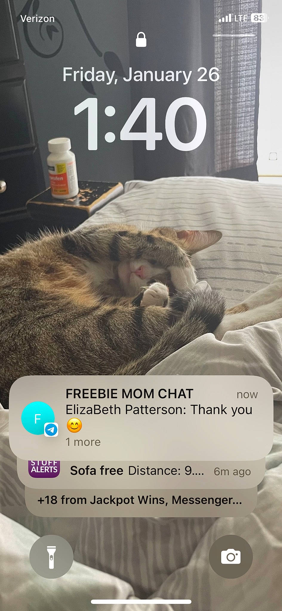 Nyla is registered to the contest to win money with this photo: advertising, carnivore, cat, claw, comfort, domestic_short_haired_cat, felidae, font, fur, linens, nap, paw, photo_caption, publication, room, small_to_medium_sized_cats, tail, terrestrial_animal, whiskers, wildlife