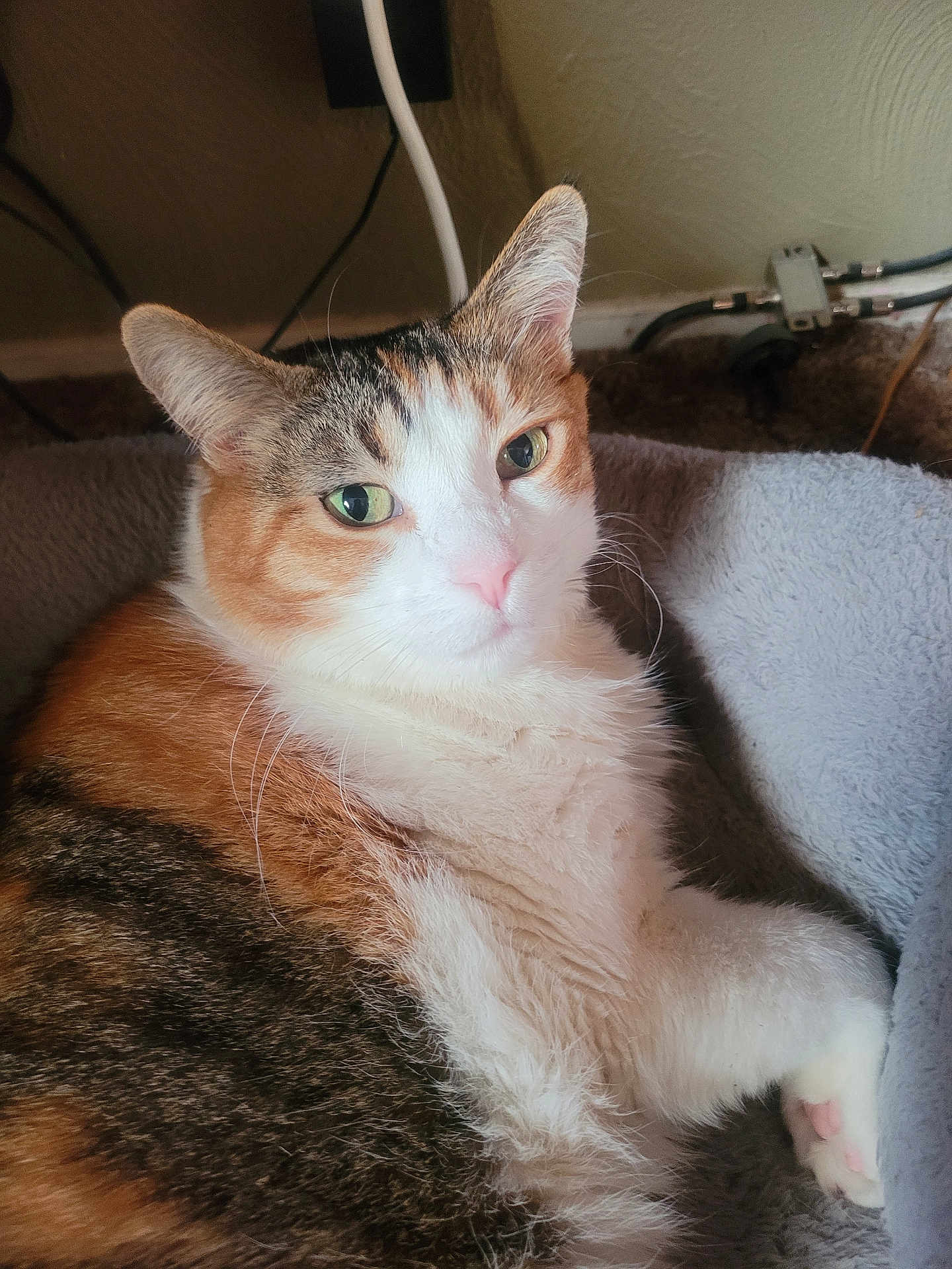 Annie