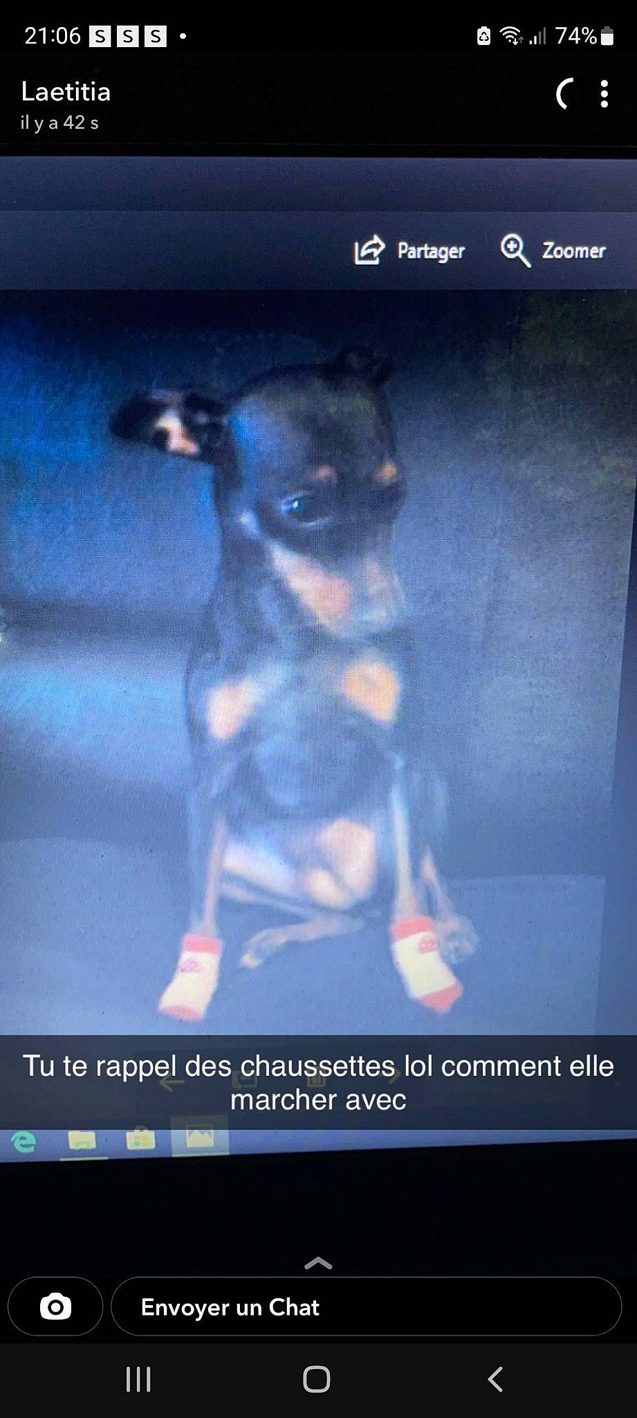 Hugo participe au concours pour gagner de l'argent avec cette photo : advertising, canidae, carnivore, companion_dog, darkness, display_device, dog, dog_breed, electric_blue, flat_panel_display, font, gadget, media, multimedia, photo_caption, screenshot, snout, sporting_group, toy_dog, working_animal