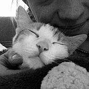Helie participe au concours pour gagner de l'argent avec cette photo :