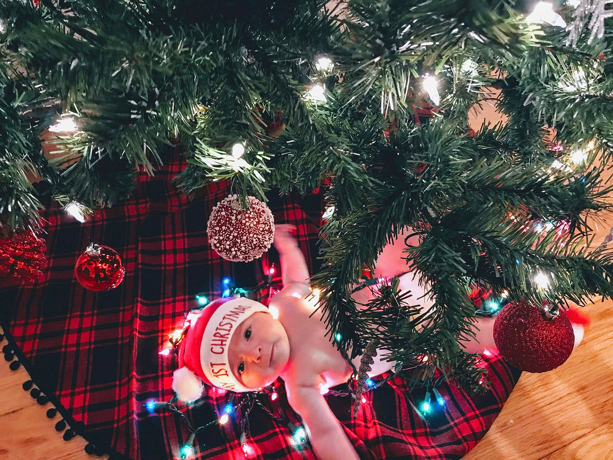 Amiah is registered to the contest to win money with this photo: christmas, christmas_decoration, christmas_eve, christmas_ornament, christmas_tree, conifer, design, event, evergreen, headwear, holiday, holiday_ornament, interior_design, ornament, pattern, person, pine_family, plaid, red, tartan