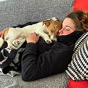 Simon participe au concours pour gagner de l'argent avec cette photo : black_clothing, blanket, blanket_fringe, brown_and_white_dog, casual, comfort, couch, cozy, dog, face, furniture, hair, indoor, paw, person, pillow, relaxing, resting, sleeping, snuggling