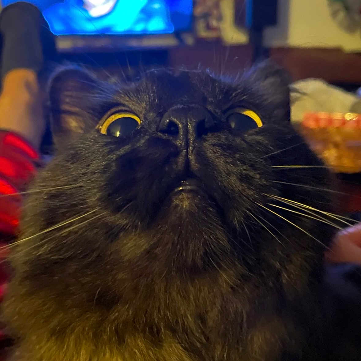 Edward