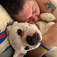 Galen Erso is registered to the contest to win money with this photo: person, dog, white_dog, close_up, snuggling, tattoo, wristband, affection, indoor, couch, face, pet, animal, human, relaxation, friendship, cute, love, companion, cozy