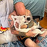 Galen Erso joined the competition — help win amazing prizes! man, dog, tattoo, bald_head, hugging, indoor, bed, rug, shorts, white_dog, pet, animal, floor, casual, relaxed, affection, human, canine, tattooed_arms, barefoot