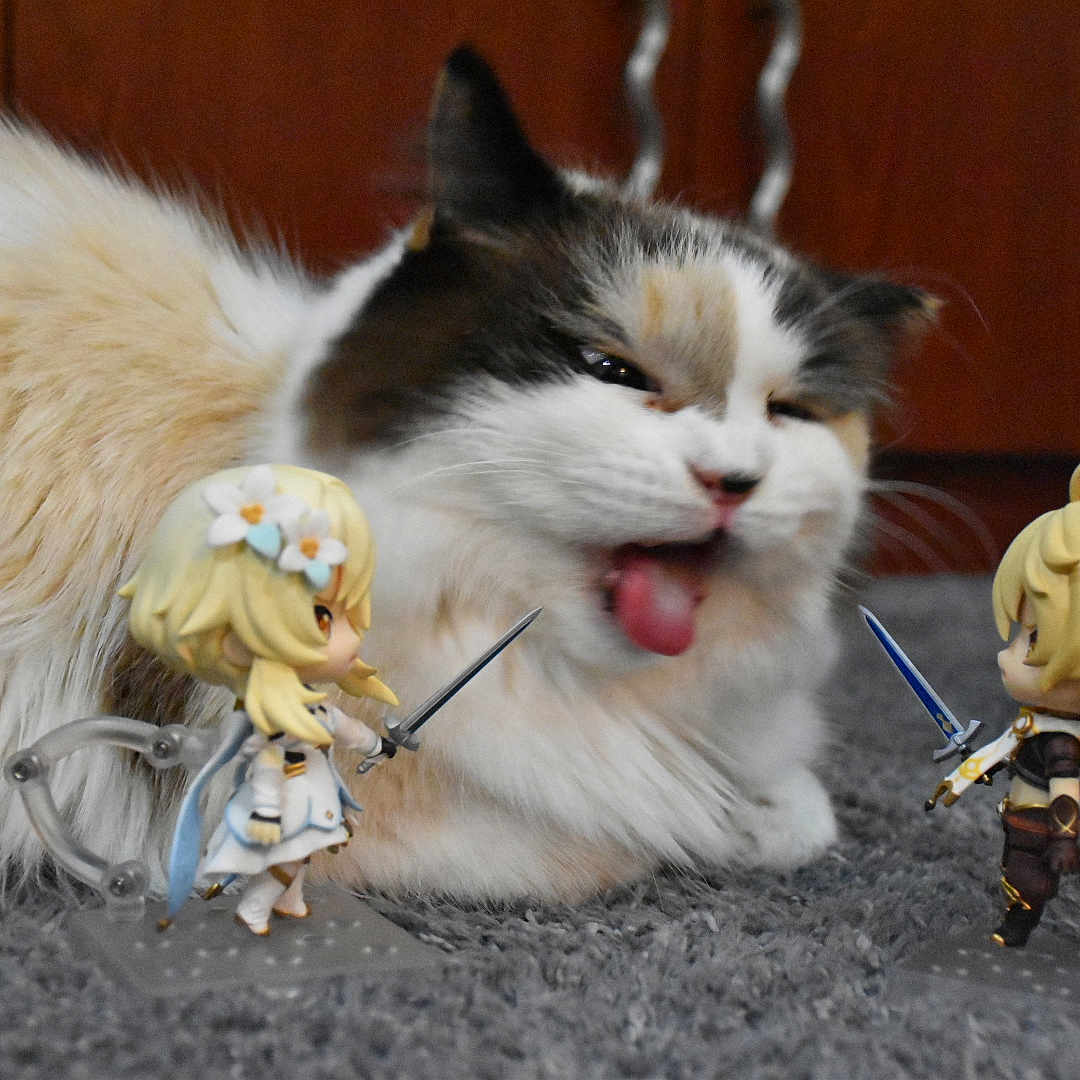 Bella joined the competition — help win amazing prizes! anime_figurine, battle, brown, carpet, cat, closeup, cute, decor, expression, face, feline, figurine_stand, fluffy, indoor, playful, small_toys, sword, tongue, toy, white