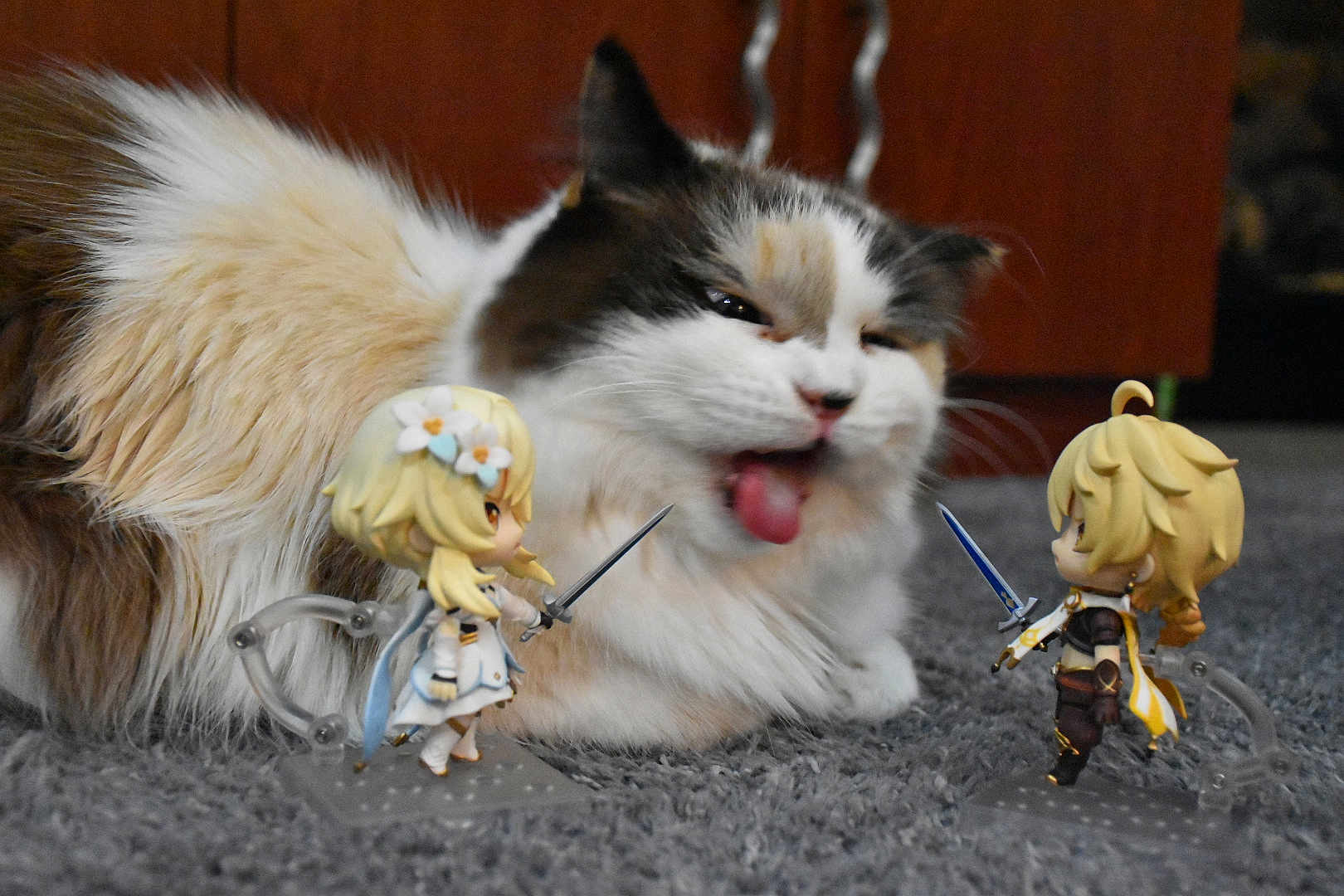 Bella joined the competition — help win amazing prizes! cat, fluffy, tongue, anime_figurine, toy, sword, battle, carpet, indoor, cute, playful, closeup, feline, figurine_stand, small_toys, face, expression, white, brown, decor