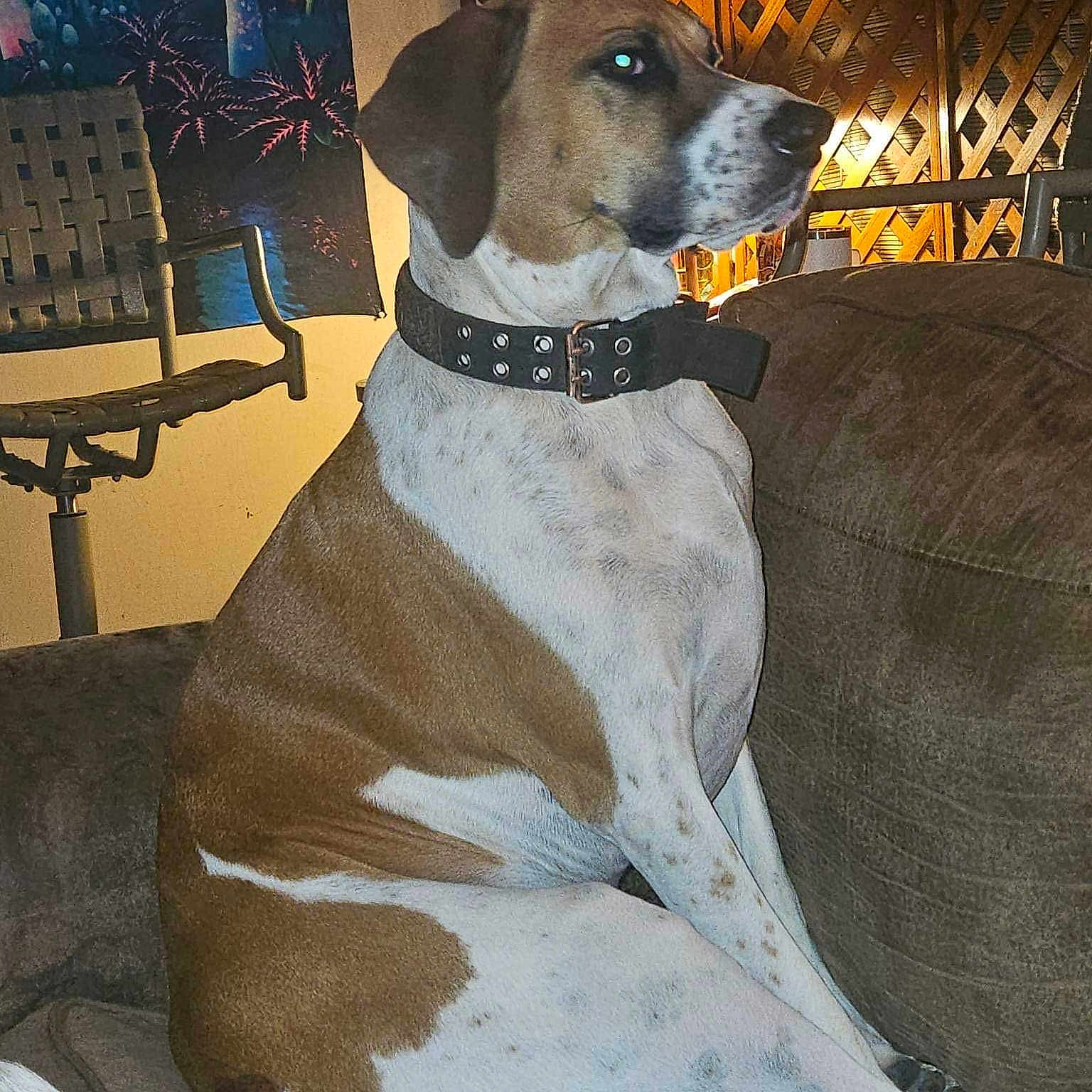 Charlie