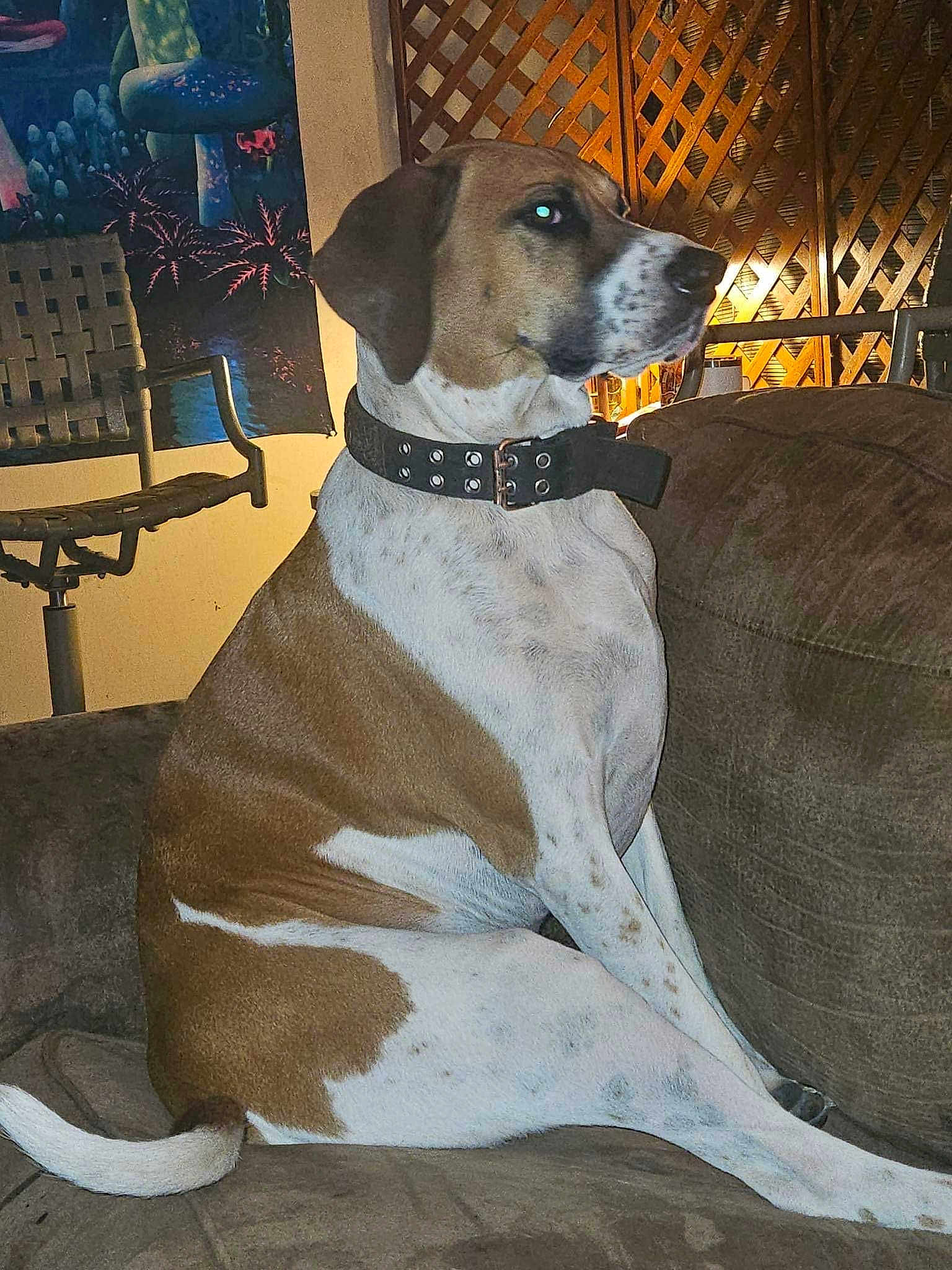 Charlie