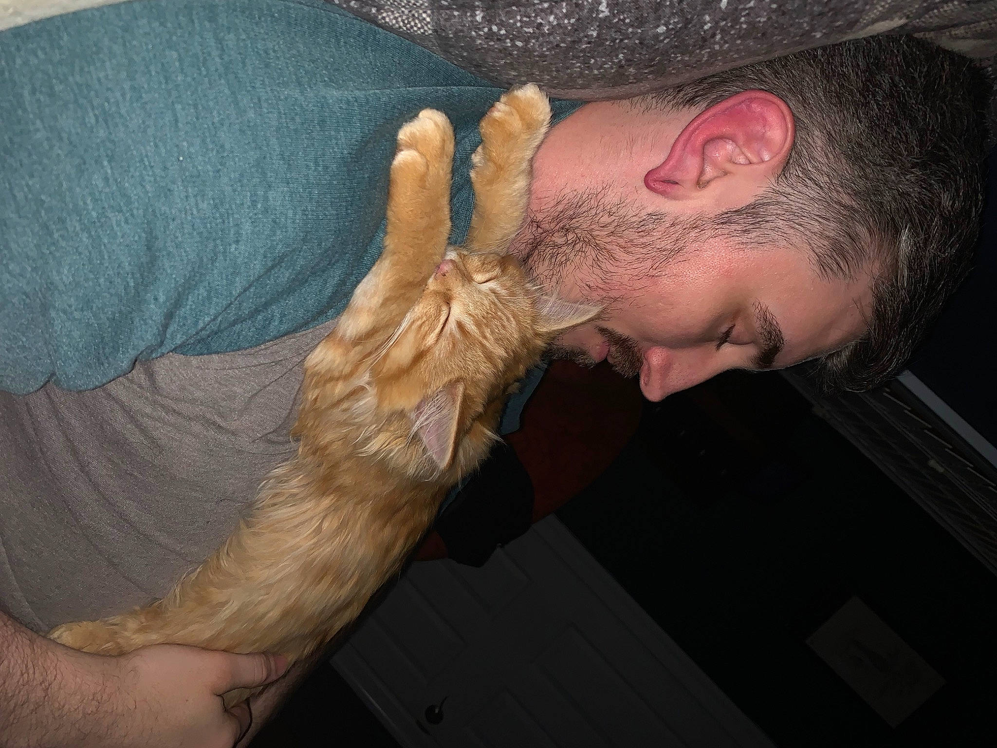 Aslan joined the competition — help win amazing prizes! ear, elbow, eyelash, facial_hair, finger, flesh, fur, gesture, hair_coloring, hat, human_leg, jaw, nail, pattern, throat, thumb, wood, wrinkle, wrist