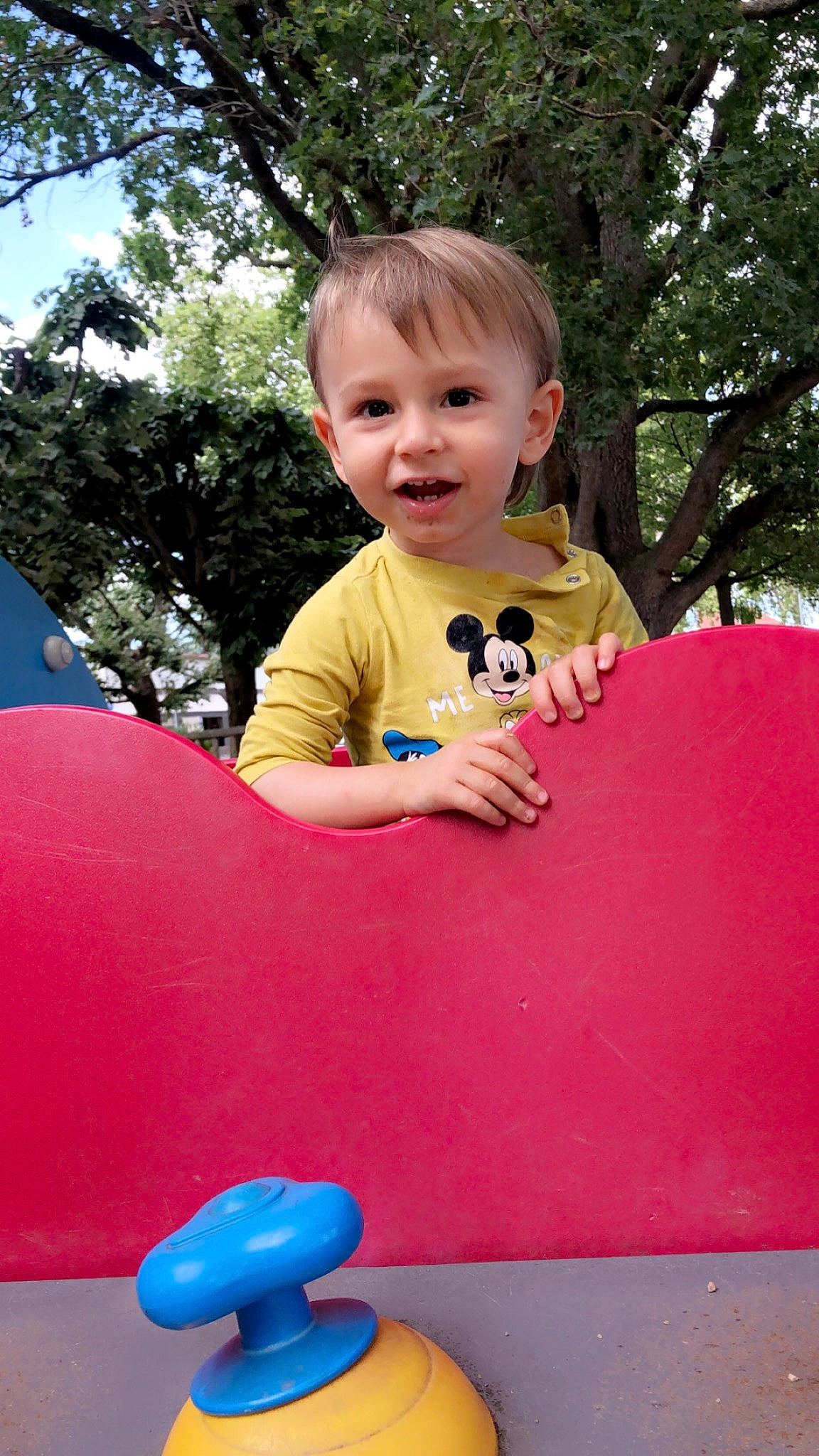 Milo participe au concours pour gagner de l'argent avec cette photo : baby_toddler_clothing, blue, child, electric_blue, fun, grass, happy, joy, leisure, magenta, outdoor_play_equipment, person, pink, play, playground, recreation, red, sitting, smile, t_shirt