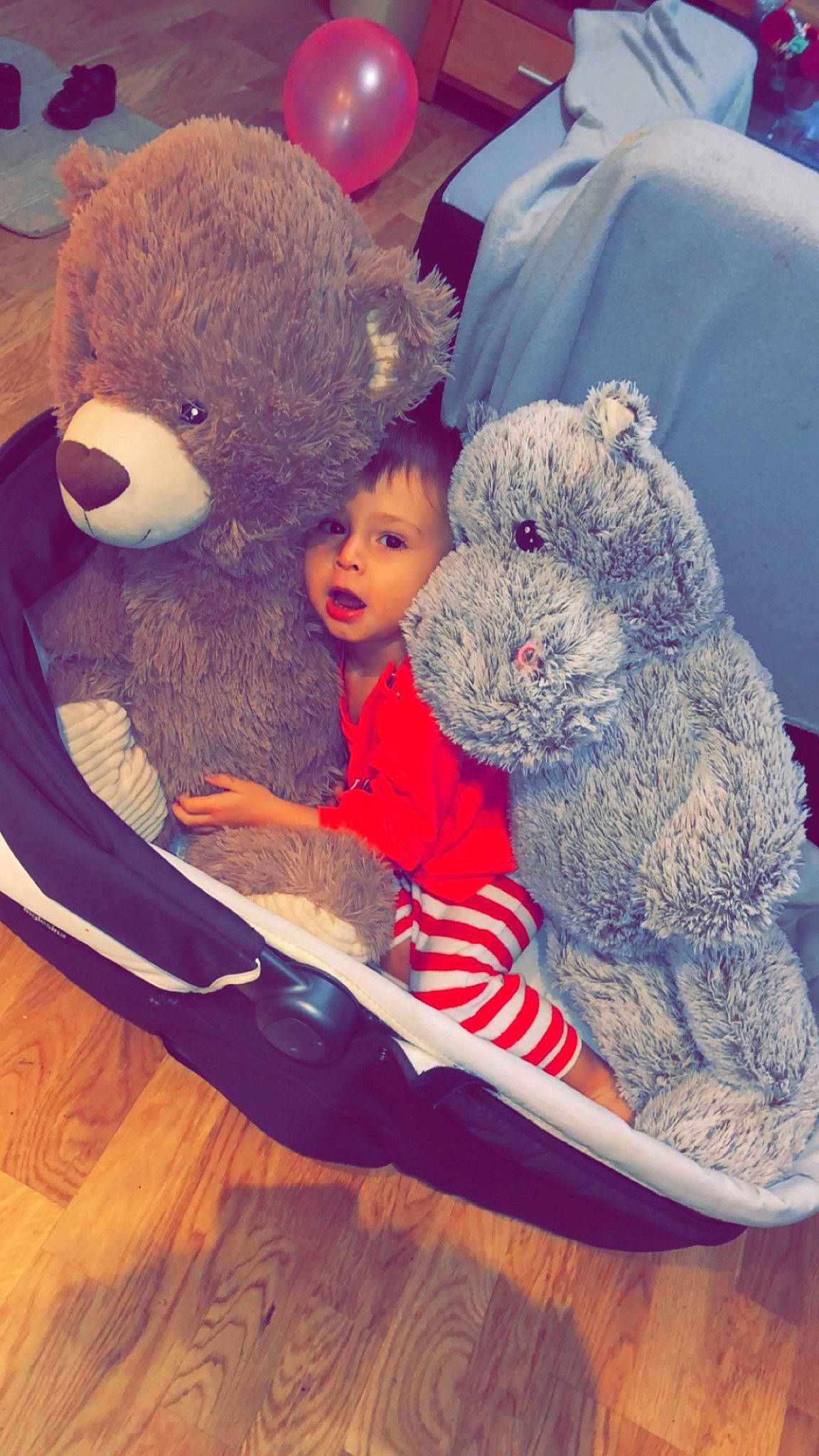 Milo participe au concours pour gagner de l'argent avec cette photo : baby, baby_products, baby_toys, bear, comfort, couch, fur, happy, hardwood, mammal, person, plush, room, sitting, stuffed_toy, surprise, teddy_bear, textile, toddler, toy