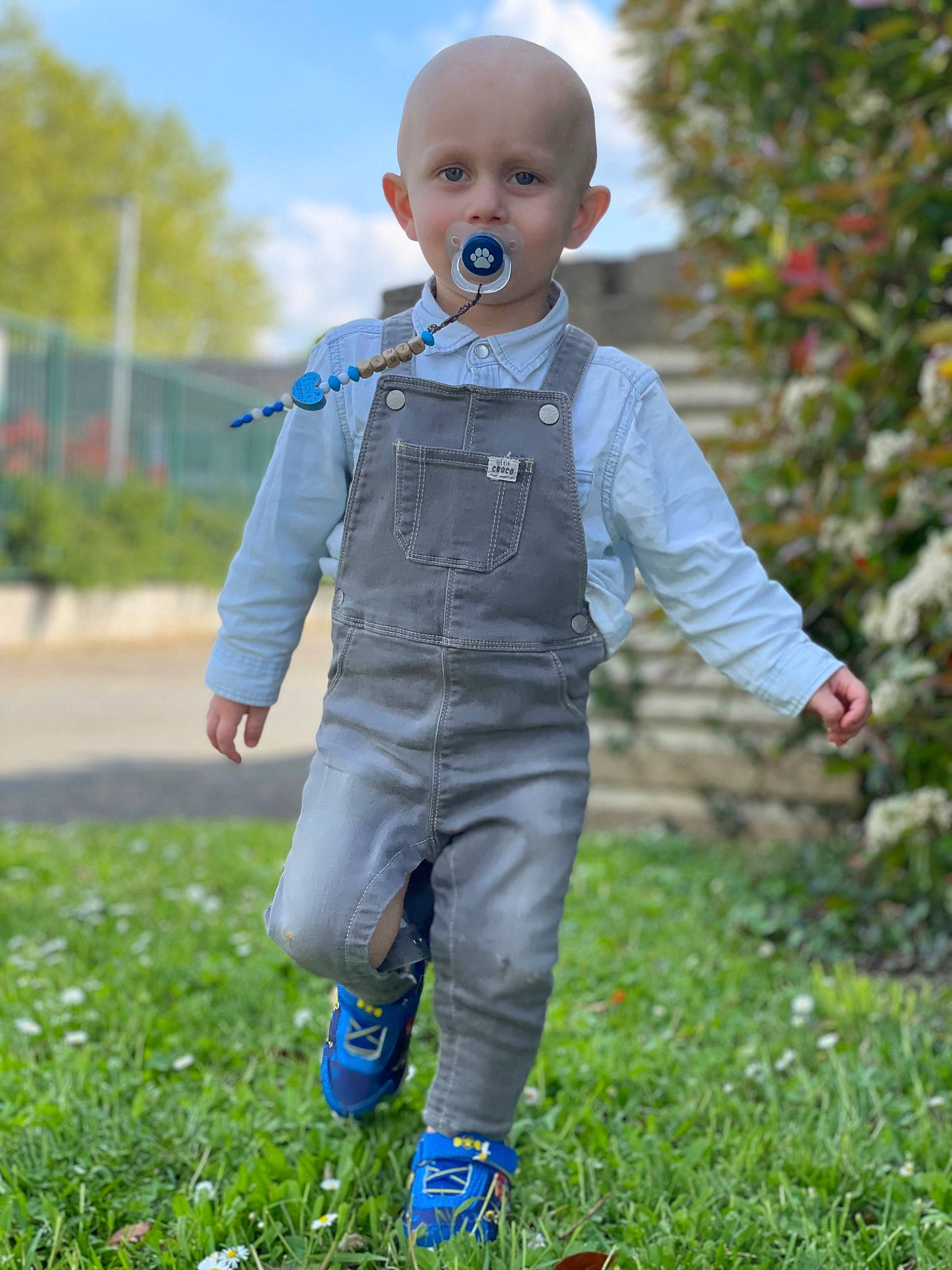 Hamza a rejoint le concours — aidez-le/la à gagner de superbes lots ! blazer, child, denim, dress_shirt, electric_blue, eye, face, formal_wear, grass, grassland, happy, pattern, people_in_nature, person, plant, sky, sleeve, suit, toddler, toy